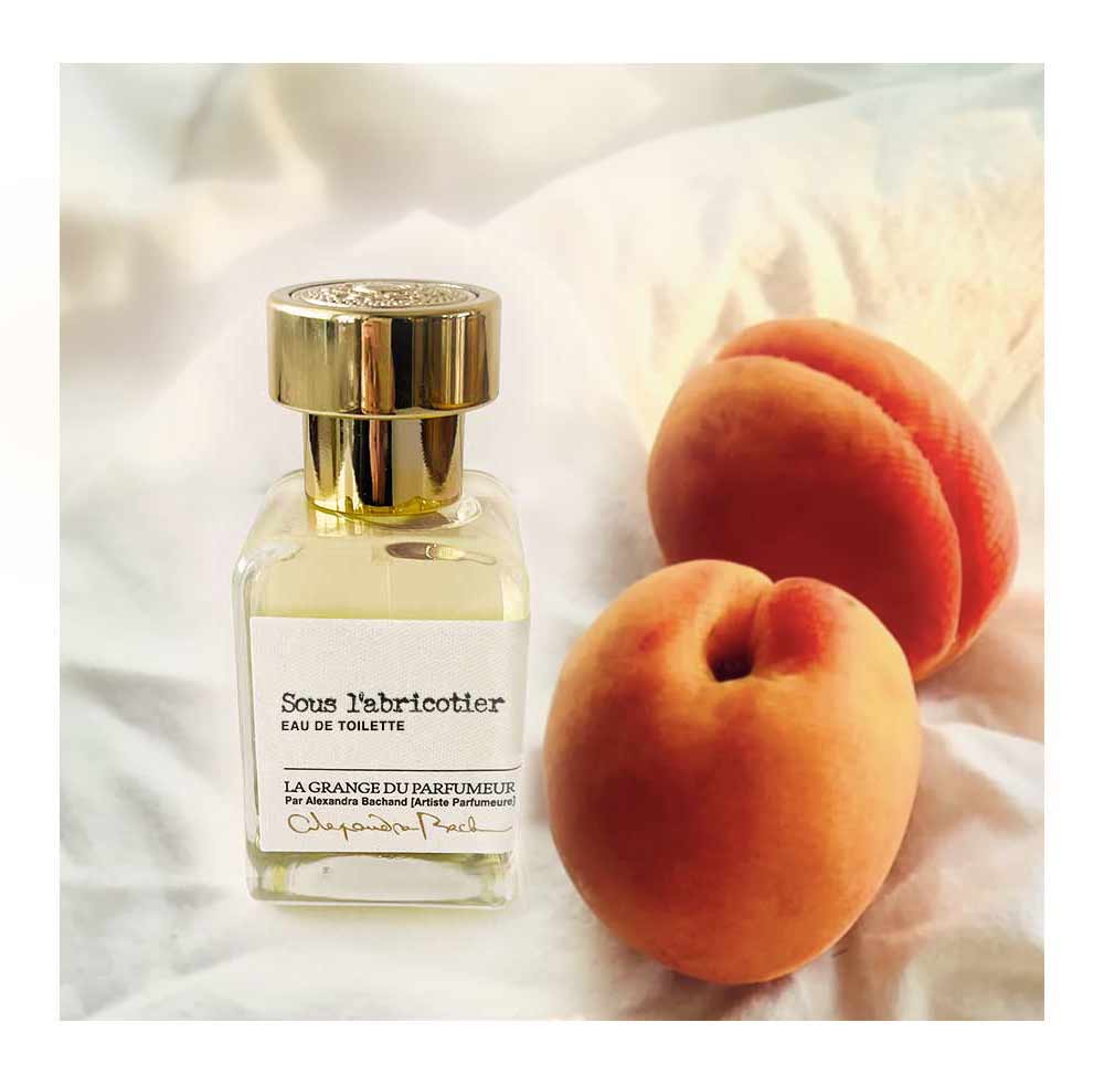 parfum naturel, parfum vegan, parfum fait au Québec, parfumerie québécoise, parfumeur, parfum artisan, haute parfumerie, parfum pour femme, parfum Montréal, parfum pour homme, perfume, perfumery, perfumer, canadian brand, indie perfume, niche perfume, parfum niche, peach, pêche, abricot, noix de coco, coconut, plage, soleil