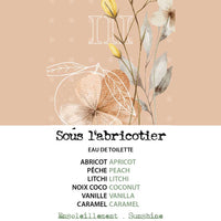 Customized sample macaron