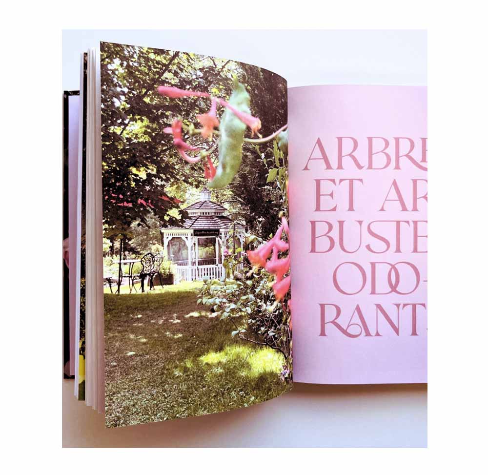 jardins de senteurs, projets aromatiques, secrets de parfumerie, botanique olfactive, jardin odorant, jardin de parfumeur, plantes à parfum, aromates, jardinage, culture de fleurs, parfumerie, parfum, Alexandra Bachand, La Grange du Parfumeur, livre botanique, floriographie, floriography, rose, lys, iris, jasmin, gardénia, muguet, lilas, eucalyptus, pivoine, plantes parfumés, odorat, odeurs, sillage, aménagement paysager, jardin parfumé, jardinage, botanique olfactive, jardiner
