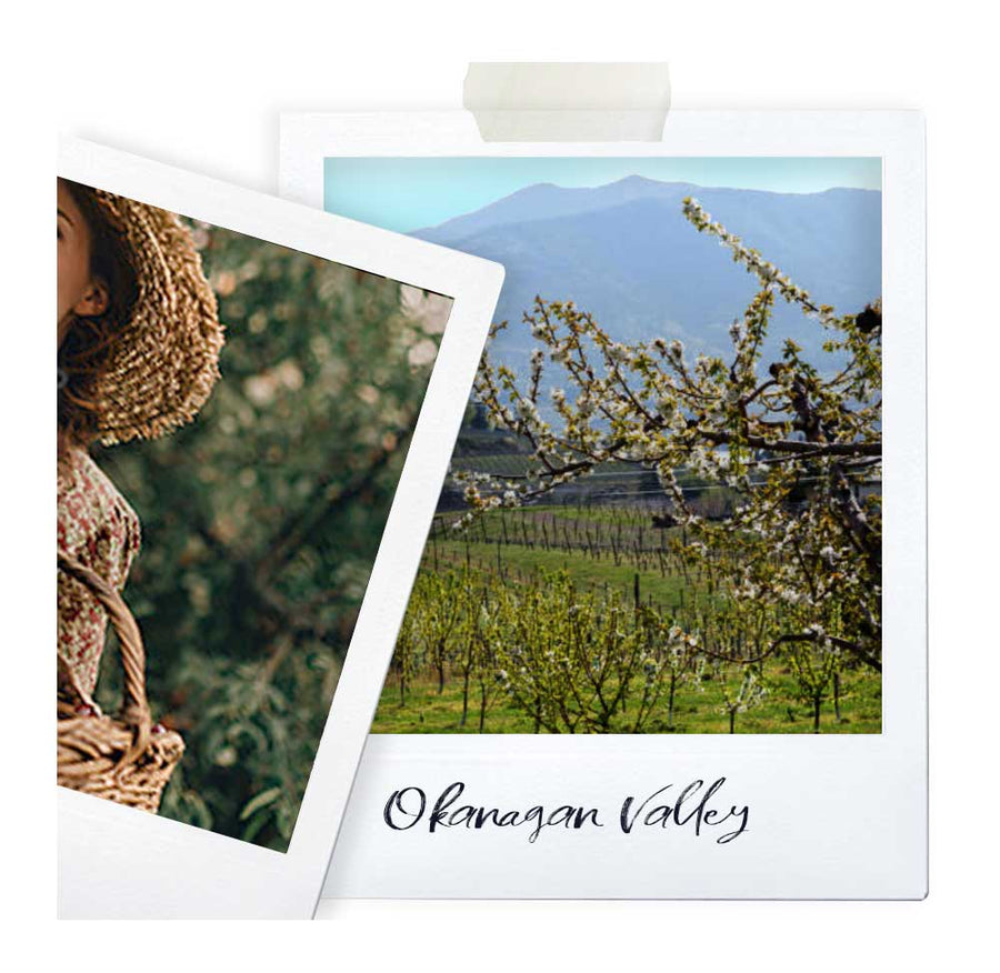 Sweet chérie 🍒 I 50 mL